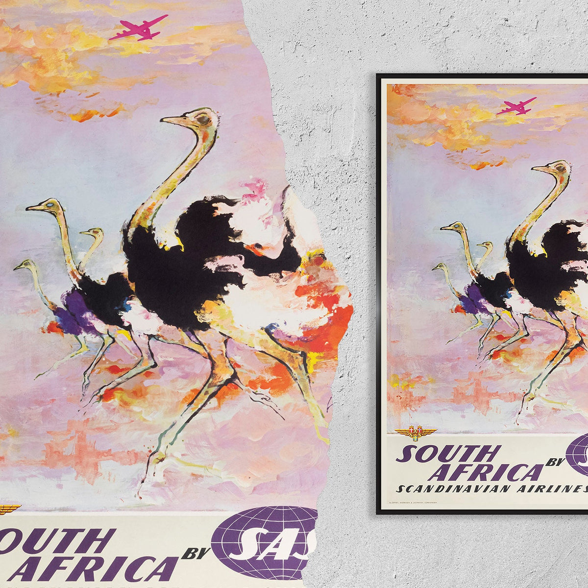 Hochauflösender Druck - A4, A3... 20x30 Zoll... Südafrika, Skandinavien, Fly SAS Aviation Strauß, 1960 - Vintage Reiseplakat