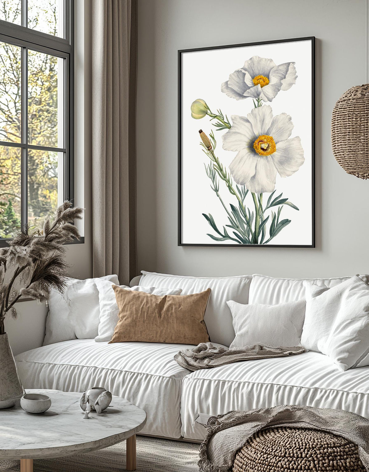 Matilija Poppy · Romneya coulteri · 1931 · Mary Vaux Walcott