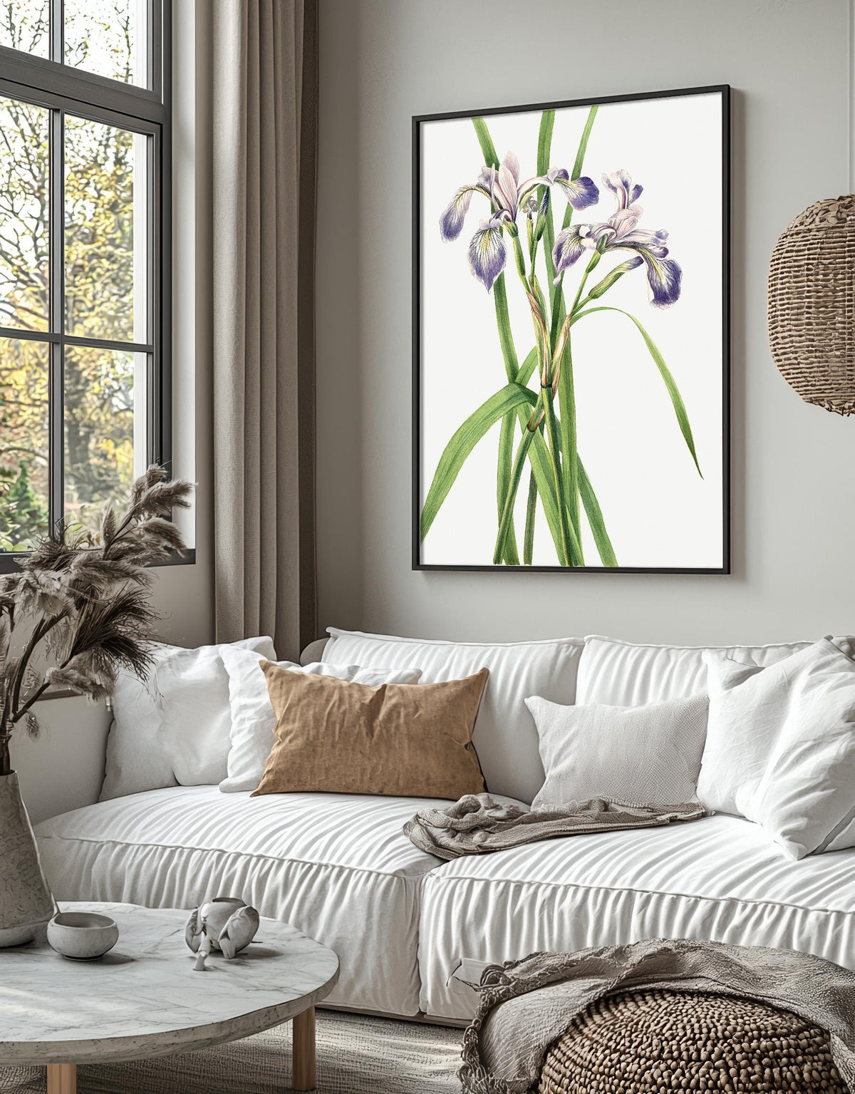 Blueflag Iris · Iris versicolor · 1919 · Mary Vaux Walcott