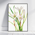 A framed botanical art print of white lilies with green stems, leaning against a white wall on a light wood floor.