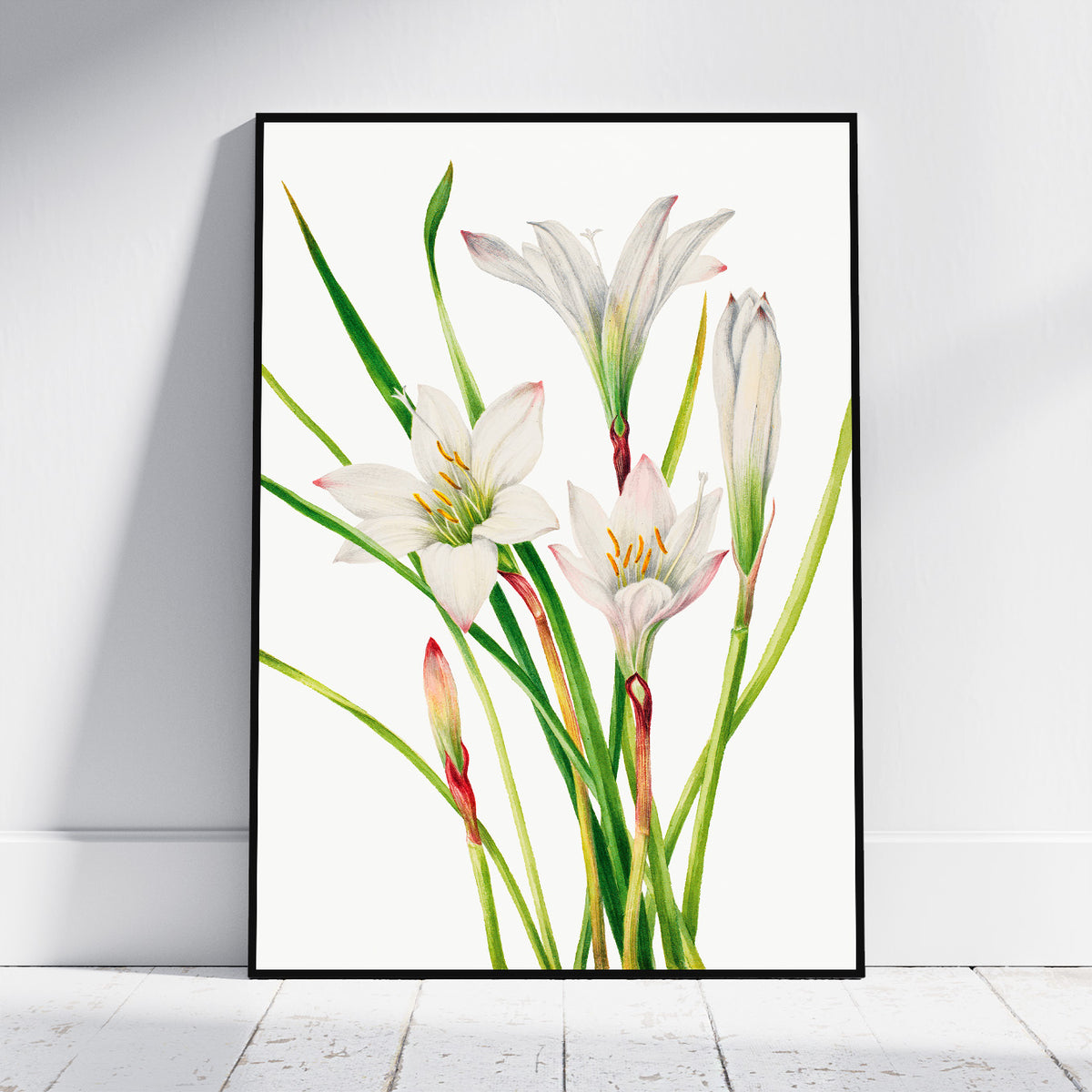 A framed botanical art print of white lilies with green stems, leaning against a white wall on a light wood floor.