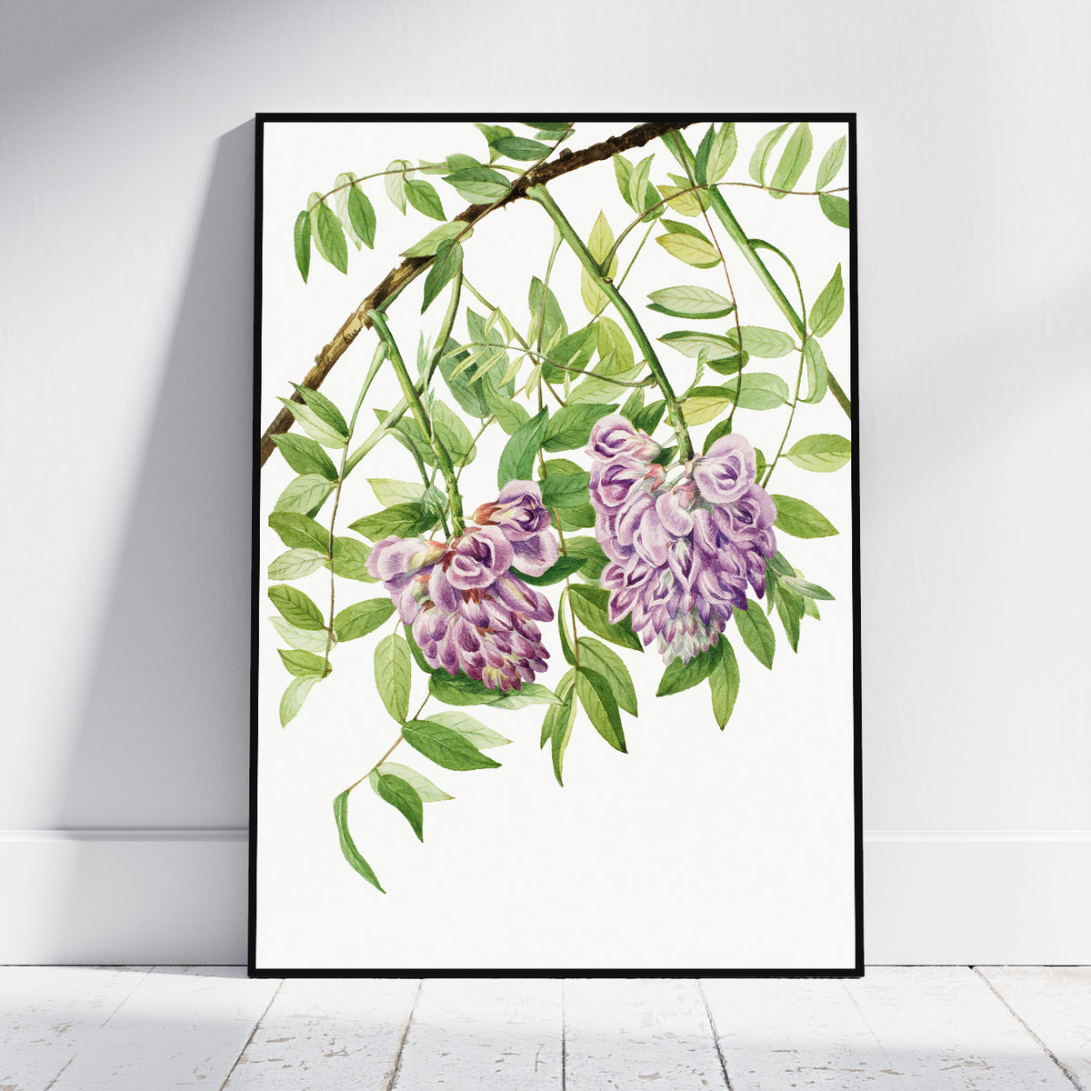 A framed botanical art print of wisteria flowers, featuring purple blossoms and green leaves on a white background, leaning against a light gray wall on a white wooden floor.