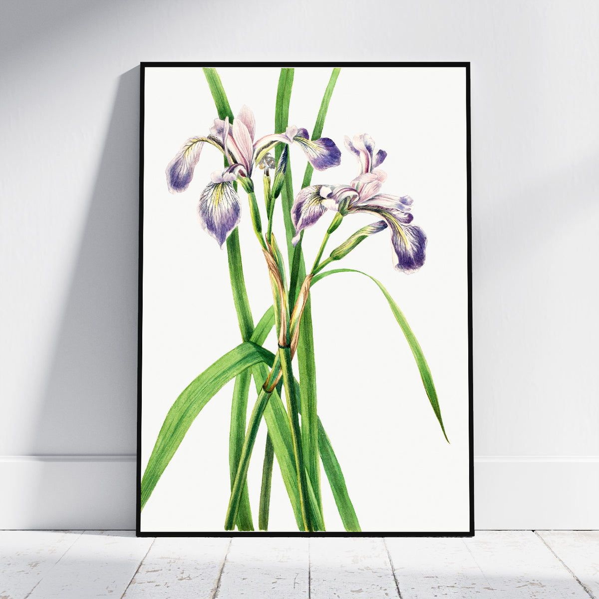 A framed botanical art print of purple irises with green leaves on a white background, leaning against a light gray wall on a white floor.