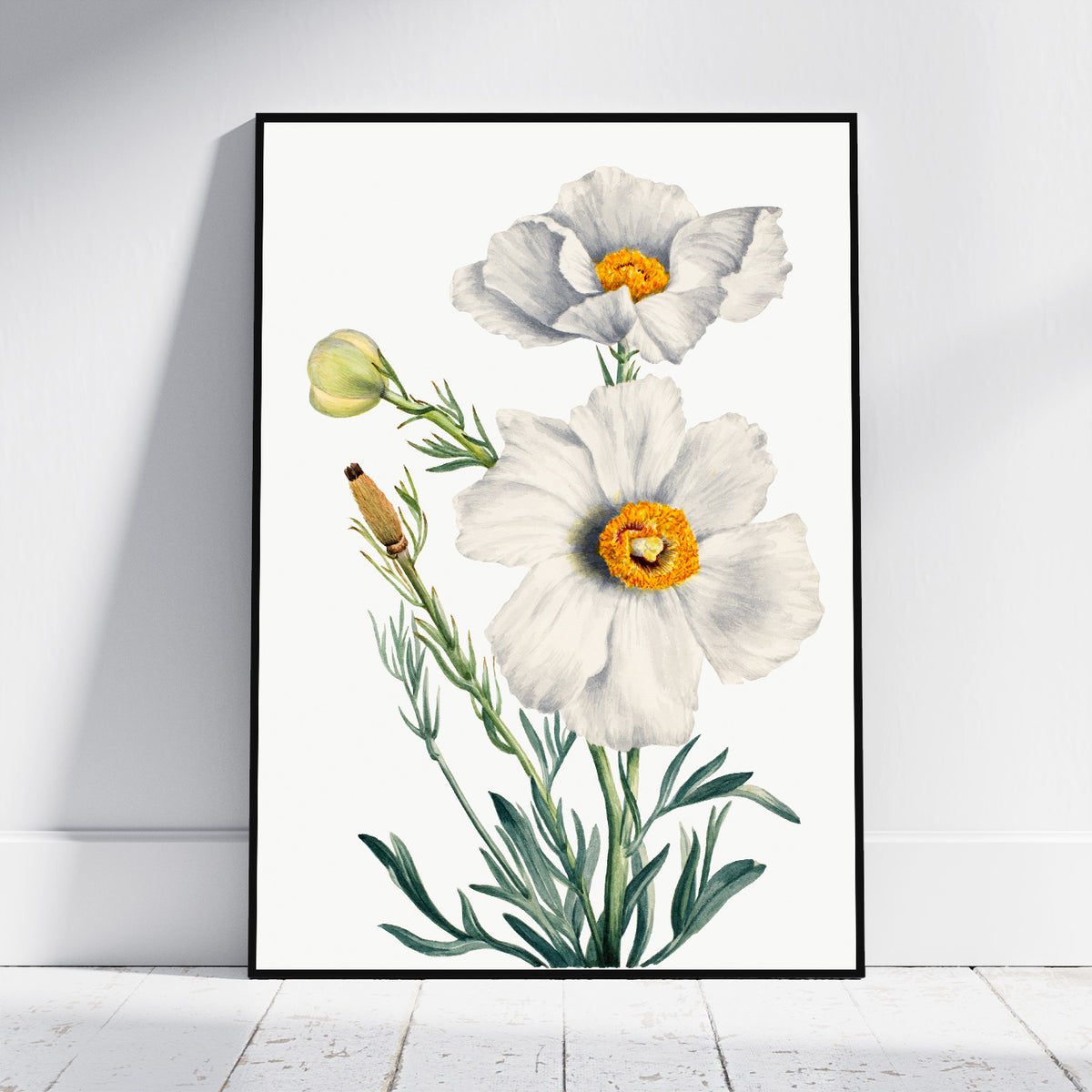 A framed botanical art print featuring white flowers with yellow-orange centers and green stems, leaning against a white wall on a light wood floor.
