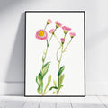 A framed botanical art print featuring pink flowers with yellow centers and green stems on a white background, leaning against a light gray wall on a white floor.