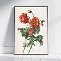 A framed botanical art print of red poppies with green leaves on an aged cream background, leaning against a white wall on a light wood floor.