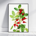 A framed botanical art print of red rose hips on a white background, leaning against a light gray wall on a white wooden floor.