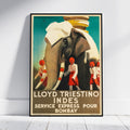 A framed vintage travel poster leaning against a white wall on a light floor. The poster shows an elephant draped in white cloth with several uniformed attendants in red and white, and large text reading 'LLOYD TRIESTINO INDES SERVICE EXPRESS POUR BOMBAY'.